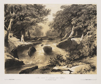 TvB G 4725
<br/>
Landschap (wilde rivier)
<br/>
<em>Calame, Alexandre (1810 - 1864)</em>